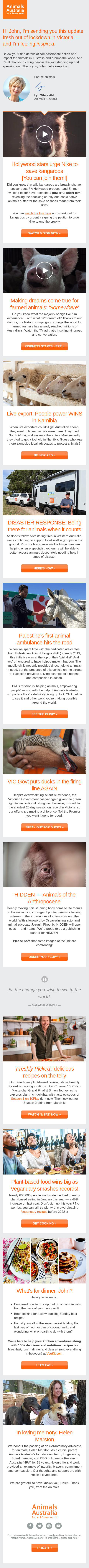An email by Animals of Australia